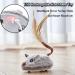 Vealind Electric Cat Toy Mouse - Interactive Toy with Feather Tail & USB Cable (Gray) - Fun for Cats & Kittens - Buy Online on GoSupps.com