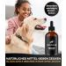 Hundpur Tick Tincture 50ml - Natural Tick & Insect Repellent for Dogs - Essential Oils Against Ticks Fleas Mites & Mosquitoes - Made in Germany - Buy Online on GoSupps.com