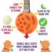 Chew King Fetch Balls: Durable Natural Floating Dog Toy with Squeaker Ball - 4.5 - Buy Online on GoSupps.com