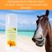Umbrella Equilibrium 2-in-1 - Natural UV and After Sun Protection Cream for Horses - Calendula Carrot Wheat Germ Lavender and Mineral UV Filters - Buy Online on GoSupps.com
