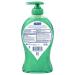 Softsoap Antibacterial Liquid Hand Soap Pump - Fresh Citrus Scent 11.25 Oz | Shop Internationally - Buy Online on GoSupps.com