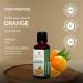Orange Oil -(Citrus Aurantium)- Essential Oil 100% Pure Natural Undiluted Uncut Therapeutic Grade Oil 8.45 Fl.OZ 8.45 Fl Oz (Pack of 1) - Buy Online on GoSupps.com