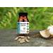 Boswellia Capsules: Natural Joint Support Supplement - Buy Online on GoSupps.com