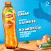 Lipton Ice Tea Peach 1.25L - Refreshing Peach Flavored Beverage - Buy Online on GoSupps.com