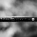 Tenkara USA Iwana 12' Tenkara Rod - Premium Quality - Buy Online on GoSupps.com
