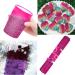 Jemesi Rosenrot Holographic Glitter Powder 100g | Perfect for Epoxy Resin Nail Art Body Decoration & More | International Shipping Available - Buy Online on GoSupps.com