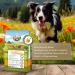 Bellfor Naturgut-Schmaus Dry Dog Food Cold Pressed Hypoallergenic with Insect Protein Rich in Essential Nutrients 4 kg - Buy Online on GoSupps.com