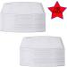 100 pcs PM 2.5 Carbon Activated Filter Inserts for Face Covering - USA Shipped - 5 Layer Protection - Buy Online on GoSupps.com