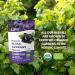 Poudre de cassis bio LOOV labor e partir de cassis entiers 100% baies biologiques lyophilis es et r duites en poudre cultiv es en Europe du Nord sans sucre ajout 113 g - Buy Online on GoSupps.com