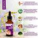 Natural Ear Drops for Ear Infection Treatment - Homeopathic Eardrops for Adults, Kids, Baby & Pets - Relieves Ear Aches, Infections, Swimmer's Ear & Loosens Wax - Made in USA - Buy Online on GoSupps.com