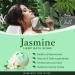 7Leaves Nature Hemp Bath Bomb Jasmine - Large 6oz All-Natural Fizzies for Skin Moisturizing - Buy Online on GoSupps.com