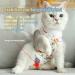 Clrybo Katzenbody for Cats - Post-Surgery Recovery Shirt | Medical Surgical Suit for Cats (Size S) - Buy Online on GoSupps.com