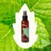 Plant Therapy Peppermint Hydrosol 4 oz Cooling Floral Water for Face Body and Sore Muscles - Buy Online on GoSupps.com