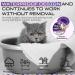 Cat Repellent Treatment Cat Repellent Collars Adjustable Cat Repellent Collar Waterproof Reflective Natural Repellent Cat Collar(Single Pack Purple) Single Pack Cat Purple - Buy Online on GoSupps.com