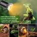 Premium Wine Turtle Heat Lamp with UVA UVB Basking Spot Bulb 360 Swivel Clamp for Reptiles | Ideal for Turtles Snakes & Lizards - International Shipping Available! - Buy Online on GoSupps.com