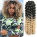 MeliSay 5 Packs Passion Twist Crochet Hair - 35.6 cm Water Wave Braids Synthetic Afro Kinky Extensions T27/613 - Curly Jamaican Bounce 14inch - Buy Online on GoSupps.com