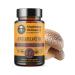 Mushroom Wellness Everyday 10: Organic 10-in-1 Mushroom Capsules with Lion's Mane, Shiitake, Reishi, Turkey Tail & More, Mushroom Powder Supplement, Immune & Nervous System Support, 90 Vegan Capsules