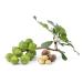 Buy MacadamiaS ns Bio Certified Macadamia Nuts | Natural & Unsalted | Whole Cores | 1 kg | Fairly Traded from Kenya - Buy Online on GoSupps.com