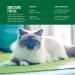 Endurosyn Probiotic Oral Gel for Cats 15gm - Digestive Health Supplement - Buy Online on GoSupps.com