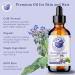 Bella Terra Oils Borage Seed Oil. 120ml. 100% Pure. Cold-pressed. Unrefined. PA-free. Hexane-free. Rich in GLA. Natural Moisturizer for Skin Hair. 120 ml (Pack of 1) - Buy Online on GoSupps.com