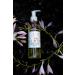 Buy MOLFAR S Carpatian Handmade ECO 100% Pure Massage Oil - Antioxidant Blend of Rapeseed Coconut Walnut Hazelnut & Berries | Ukrainian Artisans - Buy Online on GoSupps.com