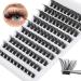 Lash Clusters 110 pcs Lash Extension DD Curl Cluster Lashes 10-16mm Eyelash Clusters Individual Lashes Natural Look Fluffy Lash Extensions Wispy Eyelashes Extensions DIY at Home by Pleell 110 Pcs 10-16mm Style-2