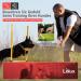 LIOLUX Dog Whistles with Klicker & Lanyard - Professional Training Pipe for Dogs | Loud & Clear R tter Call in Kaitoke Gr n/Schwarz - Buy Online on GoSupps.com