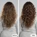 Length and Lock Hair Stretcher 2Pcs Length N Lock Hair Stretcher Length N Lock Hair Stretcher Net Length n Lock Hair Stretcher Mesh Hair Stretcher Mesh Curly Hair Net Long Hair Stretching Mesh 7 inch 2 small - Buy Online on GoSupps.com