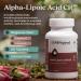 Alpha Lipoic Acid CR with Biotin - Extended Release Antioxidant Supplement - USA Made - 60 Vegetarian Tablets for Optimal Absorption - Shop Now - Buy Online on GoSupps.com