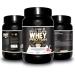 Healthy Fusion Whey Protein - Pure Collagen & Magnesium Infused | Boost Muscle Mass & Training Performance | 1000g Strawberry Flavor - Buy Online on GoSupps.com