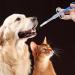 Nuanchu 4-Piece Pet Pill Shooter Kit - Dog & Cat Medicine Dispenser for Small Animals | Blue - Buy Online on GoSupps.com