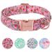 Unique Style Paws Summer Rosa Strawberry Dog Hales Band College & Linen for collar dog wide fly chain dog dog collar tensile band gifts for small medium large dogs xl XL pink strawberry