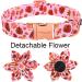 Shop Aring Pet Autumn Dog Collar - Cute Thanksgiving Cotton Collar with Flower & Maple Leaf Design - XS Rugby Collar for Dogs - Buy Online on GoSupps.com