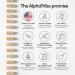 Alpha Tribe Multivitamin for Men with Sea Moss, Black Seed Oil, Ashwagandha, Turmeric Bladderwrack, Burdock,Vitamin C, Elderberry, Manuka, Yellow Dock | Daily Men's Vitamins and Minerals Supplement 120 Count (Pack of 1) - Buy Online on GoSupps.com