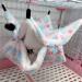Aoliandatong Small Pet Cage Hammock Bunkbed - S Pink | Guinea Pig, Sugar Glider, Ferret, Hamster, Rat, Squirrel | Cozy Bedding & Warm Hammock for Playing & Sleeping - Buy Online on GoSupps.com