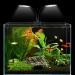 WEAVERBIRD Aquarium Light Double Head Model-X7 Gemini Fish Tank Light 15W 32 LED Planted Clip Lamp for 6mm Thick Fish Tanks - Buy Online on GoSupps.com