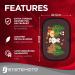 Systemoto Car Sun Protection for Babies - UV Protection (2 Set) | Child Safe Window Cover with Forest Animal Motifs - Buy Online on GoSupps.com