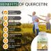 Organic Quercetin 500mg with Bromelain Supplement | Bioactive Phytosome Complex for Healthy Inflammatory Response & Antioxidant Support | 120 Capsules - Buy Online on GoSupps.com