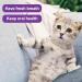 Double-Sided Cat Toothbrushes - 2 Pack Kitten Dental Care Brush with Microbe Head & Curved Handle - Purple & Orange - Buy Online on GoSupps.com