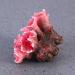 UEETEK Pink Corals for Aquarium Decoration | Vibrant Underwater Elegance - Shop Internationally! - Buy Online on GoSupps.com