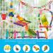 Ciciglow Colorful Bird Swing Toys - Parrot Swing with Stainless Steel Chain Ladder Bells & Balls - Ideal for Birds - Buy Online on GoSupps.com