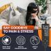 Sinus Pressure Relief Mask - Heated Face Mask for Headaches Sleep Aid & Stress Relief | 3 Heat Settings & Auto-Off Timer - Buy Online on GoSupps.com