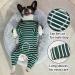 Shop Axcimond Long-Sleeved Dog Body for Small & Medium Dogs - Post-Op Wound Protection Anti-Leak Cone Alternative Green - Buy Online on GoSupps.com