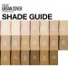 Maybelline Dream Urban Cover SPF 50 Protective Makeup in Fair Porcelain 30ml - Pack of 1 - Buy Online on GoSupps.com
