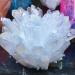 Crystal Rough Specimen Healed Natural White Angel Aura Crystal Cluster Electroplating Titanium Coating Quartz Cluster Stone As a Gift 500-600g - Buy Online on GoSupps.com