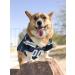Pets First NFL Chicago Bears Mesh Jersey for Dogs & Cats - XX-Large - Buy Online on GoSupps.com
