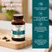 Himalaya Organic Bacopa (Brahmi) Monnieri Nootropique base de plantes vigilance mentale la m moire la cognition 750 mg 60 caplets base de plantes approvisionnement de 60 jours - Buy Online on GoSupps.com