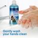 Clorox Scentiva Liquid Hand Soap Refill 34 oz - Pacific Breeze & Coconut Scented Hand Wash with Vitamin B5 and Aloe Vera - Bleach-Free Soap for Kitchen or Bathroom - 1 Count Pack - Buy Online on GoSupps.com