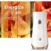 Glade Automatic Spray Refill & Holder Kit - Hawaiian Breeze 6.2 Oz | Home & Bathroom Air Freshener - Buy Online on GoSupps.com
