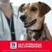 Hill's Science Diet Puppy Small Bites Chicken Meal & Barley Recipe 4.5lb - Pack of 1 - Buy Online on GoSupps.com